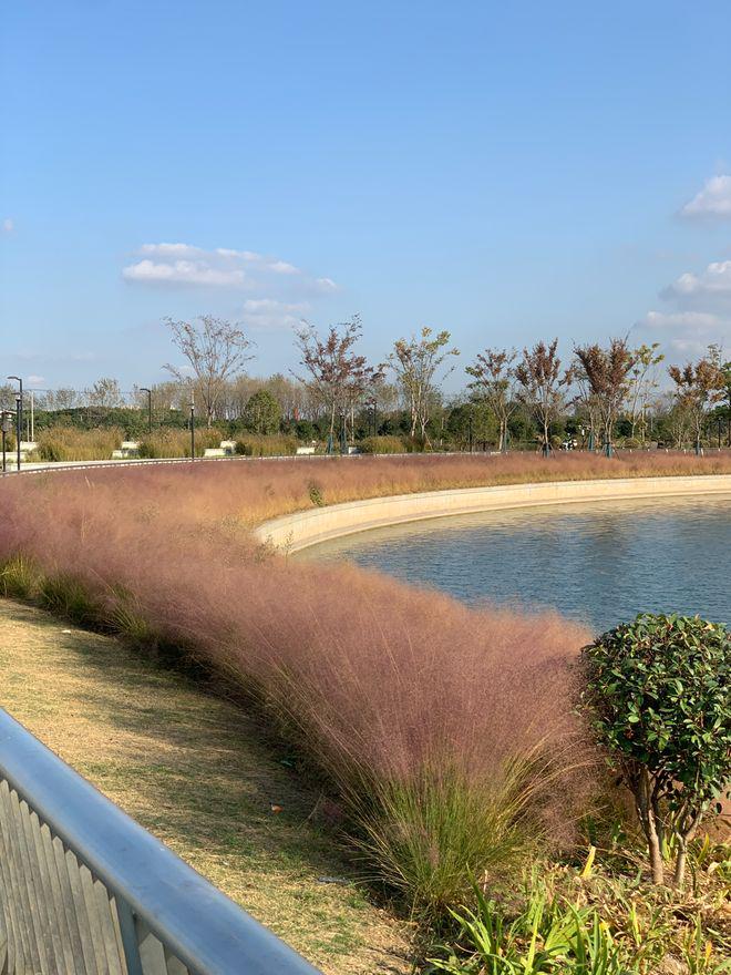 售楼处发布：天誉兰香主城宜居标杆开元棋牌网站【象屿】象屿天誉蘭香(图22)