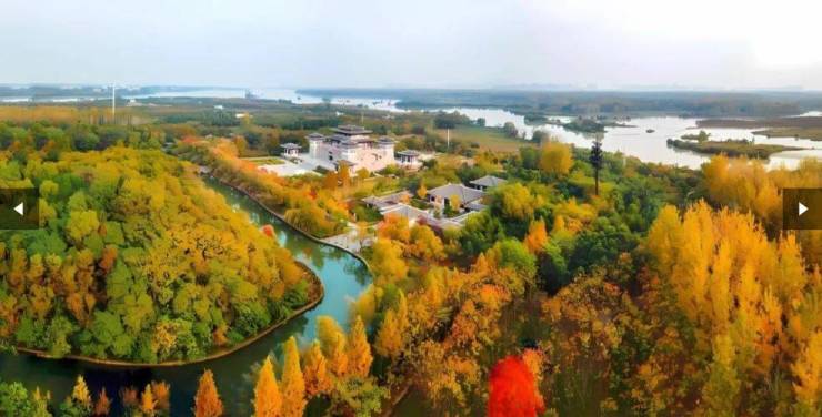 澜悦新房周边配套-学区开元棋牌庐阳区弘泰熙湖(图2)